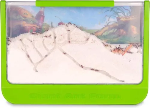 Ant Farm - Ant Nest - Ant House - Ant Hotel - Ant Colony - Premium