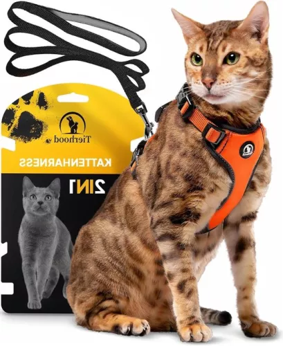 Cat Harness with Leash - Orange S (22-27 cm) (31-41 cm) - for small cats Cat harness with leash