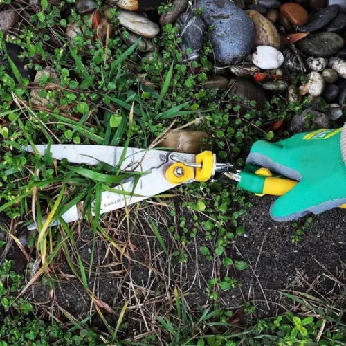 merkloos Grass shears/lawn shears - High-quality grass edging shears with 180° rotating cutting head and ergonomic design (6154124693601)