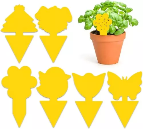 60 Pieces Flycatcher Sticky Traps for Plants Flying Insects Fruit Flies Mosquitoes on Balcony or Garden.